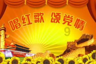 逃离森林湖畔