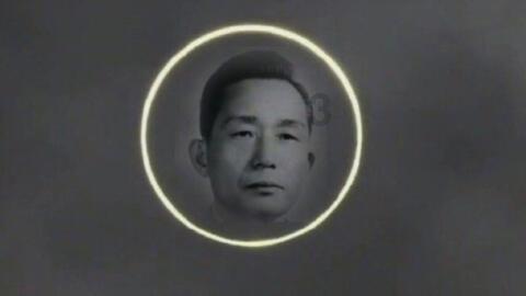 热带天堂找不同